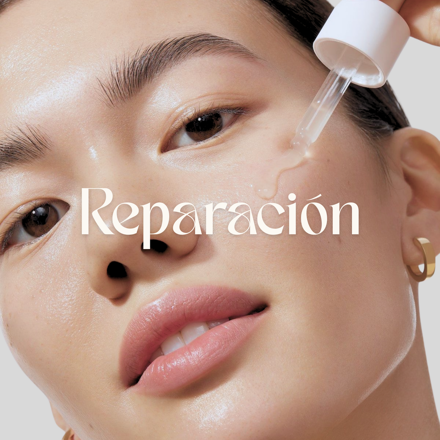 Repara la barrera